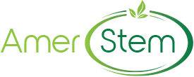 AmerStem